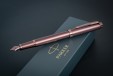 Ручка перьевая Parker IM Monochrome Burgundy